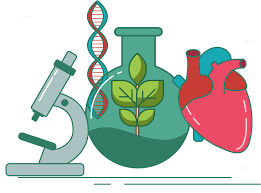 Επιλέχθηκε εικόνα